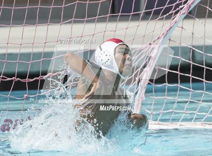 Thumbnail 1 in Sonora vs Walnut photogallery.