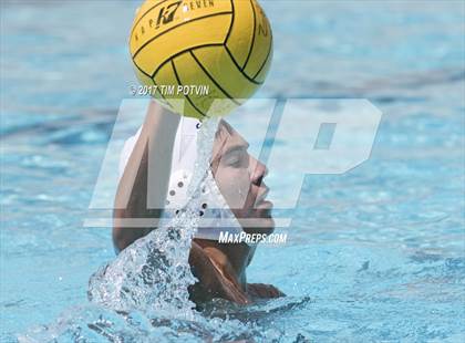 Thumbnail 2 in Sonora vs Walnut photogallery.