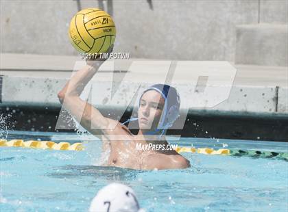 Thumbnail 1 in Sonora vs Walnut photogallery.