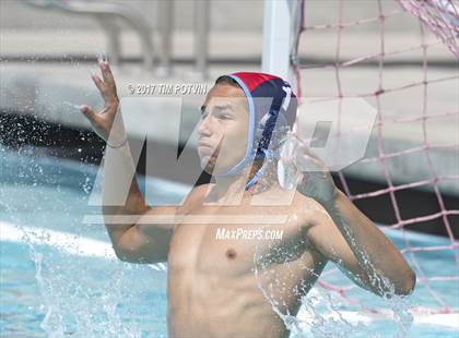 Thumbnail 2 in Sonora vs Walnut photogallery.
