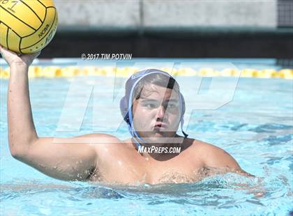 Thumbnail 1 in Sonora vs Walnut photogallery.