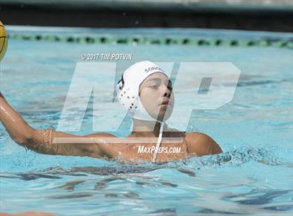 Thumbnail 1 in Sonora vs Walnut photogallery.