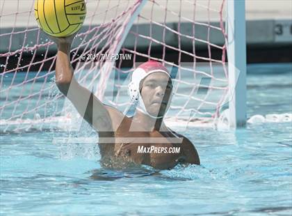 Thumbnail 3 in Sonora vs Walnut photogallery.