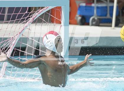 Thumbnail 1 in Sonora vs Walnut photogallery.