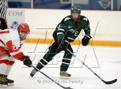 Thumbnail 2 in New Milford vs. Cheshire (West Haven Christmas D2 Final) photogallery.