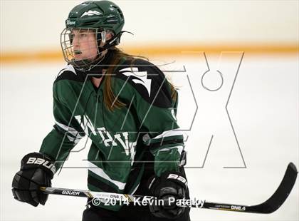 Thumbnail 3 in New Milford vs. Cheshire (West Haven Christmas D2 Final) photogallery.