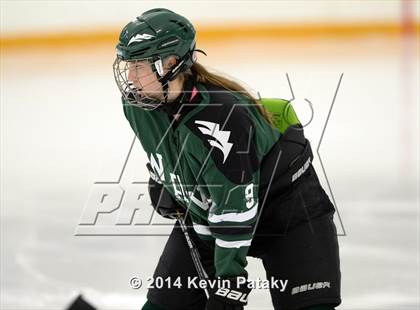 Thumbnail 3 in New Milford vs. Cheshire (West Haven Christmas D2 Final) photogallery.