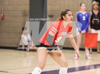 Thumbnail 1 in James Logan vs. Escalon (Stockton Classic) photogallery.