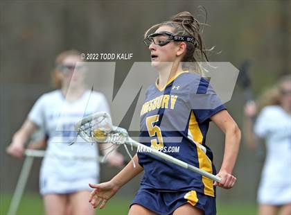 Thumbnail 3 in Simsbury @ Glastonbury photogallery.