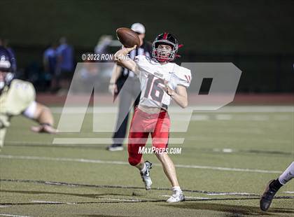 Thumbnail 3 in Mustang @ Southmoore photogallery.