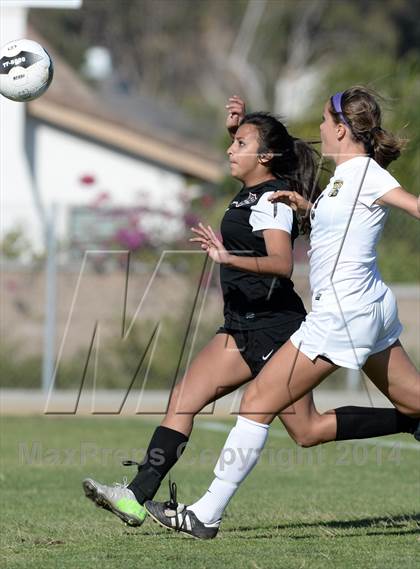 Thumbnail 1 in Palos Verdes @ Sunny Hills (CIF SS D2 Playoff) photogallery.