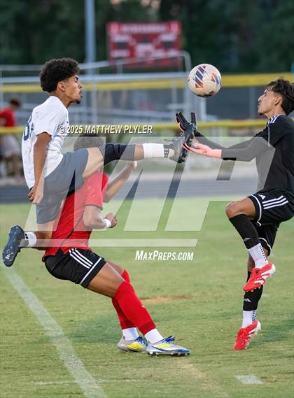 Thumbnail 2 in Southern Lee @ Hoke County photogallery.