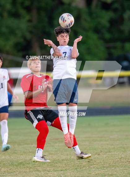 Thumbnail 1 in Southern Lee @ Hoke County photogallery.