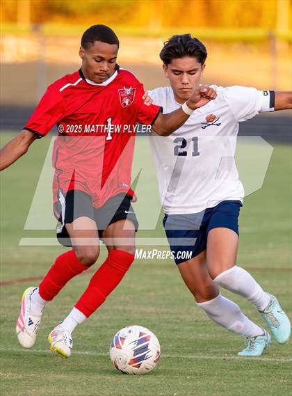 Thumbnail 1 in Southern Lee @ Hoke County photogallery.