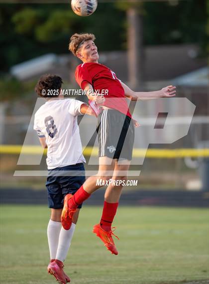 Thumbnail 1 in Southern Lee @ Hoke County photogallery.