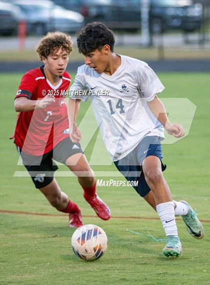 Thumbnail 1 in Southern Lee @ Hoke County photogallery.