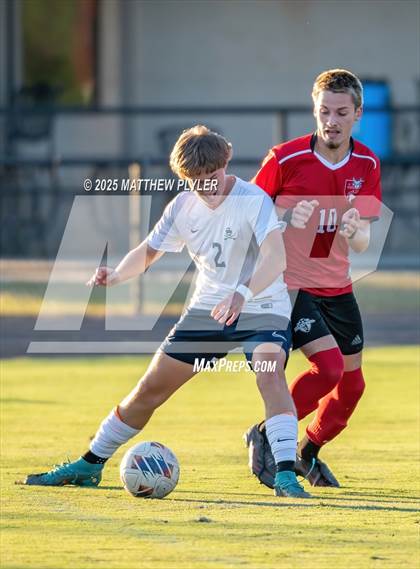 Thumbnail 2 in Southern Lee @ Hoke County photogallery.