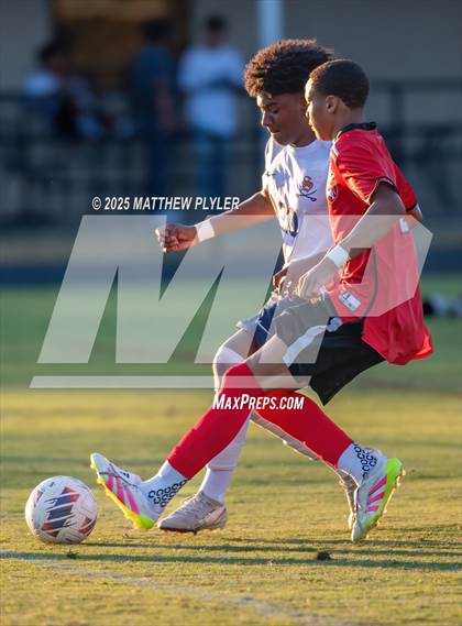 Thumbnail 1 in Southern Lee @ Hoke County photogallery.
