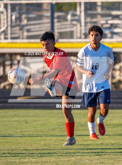 Thumbnail 1 in Southern Lee @ Hoke County photogallery.