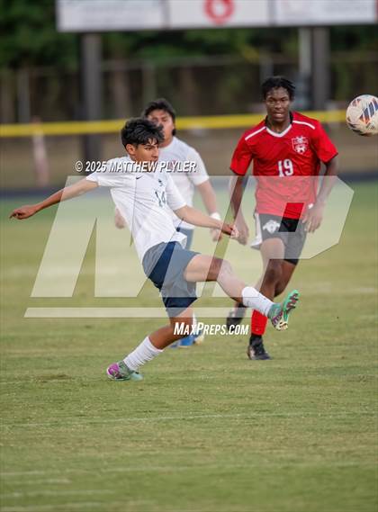 Thumbnail 3 in Southern Lee @ Hoke County photogallery.