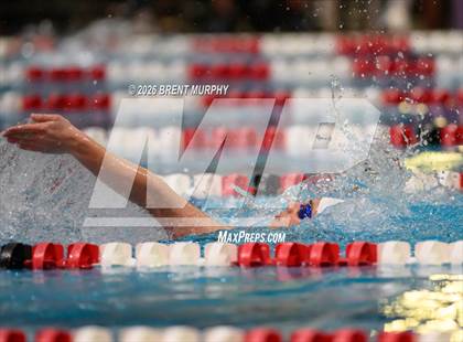 Thumbnail 1 in CHSAA 5A Finals photogallery.