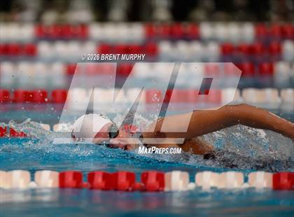 Thumbnail 1 in CHSAA 5A Finals photogallery.