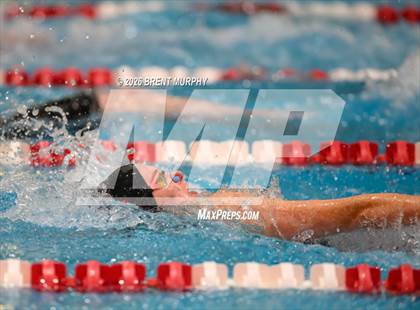 Thumbnail 1 in CHSAA 5A Finals photogallery.