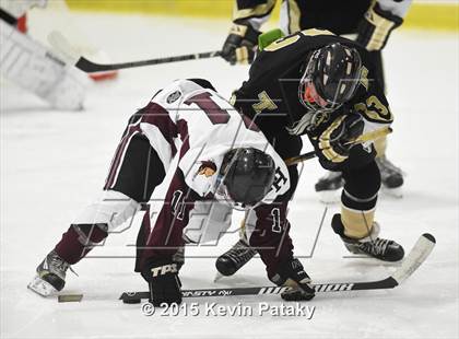 Thumbnail 1 in Trumbull @ North Haven photogallery.