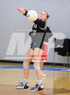 Photo from the gallery "Pine Lake Prep @ Community School of Davidson"