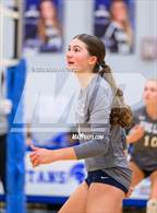 Photo from the gallery "Pine Lake Prep @ Community School of Davidson"