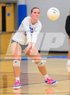 Photo from the gallery "Pine Lake Prep @ Community School of Davidson"