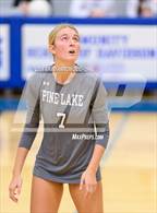 Photo from the gallery "Pine Lake Prep @ Community School of Davidson"