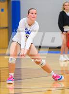 Photo from the gallery "Pine Lake Prep @ Community School of Davidson"