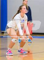 Photo from the gallery "Pine Lake Prep @ Community School of Davidson"