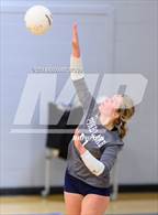 Photo from the gallery "Pine Lake Prep @ Community School of Davidson"