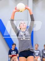 Photo from the gallery "Pine Lake Prep @ Community School of Davidson"