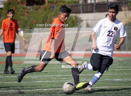 Thumbnail 3 in Arlington @ Poly photogallery.