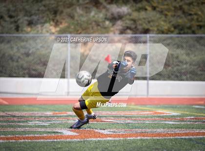 Thumbnail 3 in Arlington @ Poly photogallery.
