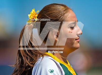 Thumbnail 3 in Argonaut vs. Le Grand (CIF SJS D6 Final) photogallery.