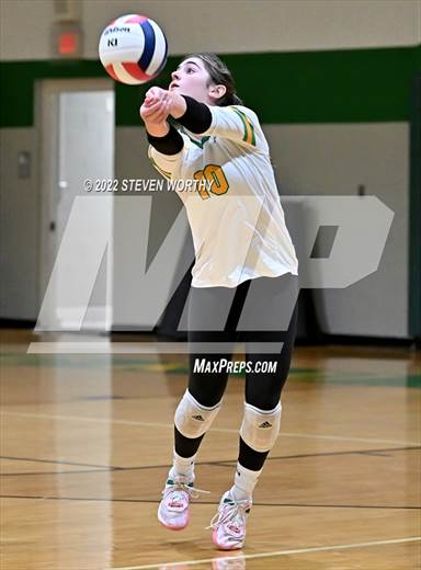 null - Photo 01