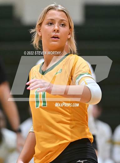 null - Photo 21