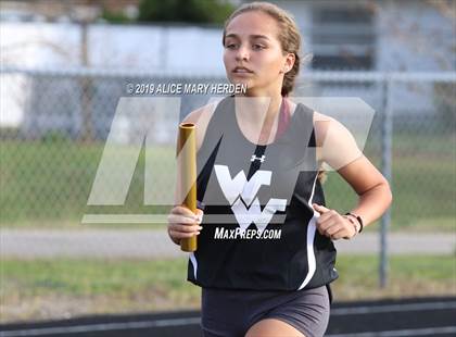 Thumbnail 2 in Springstead Invitational photogallery.