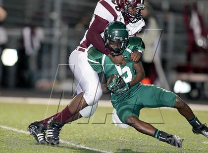 Thumbnail 2 in Rowlett @ Naaman Forest photogallery.