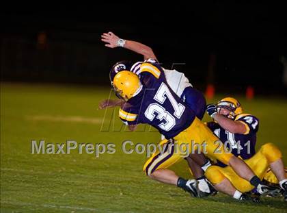 Thumbnail 1 in Rayne @ South Beauregard  photogallery.
