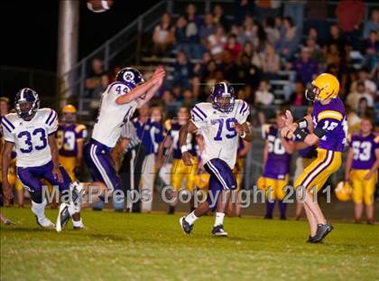 Thumbnail 1 in Rayne @ South Beauregard  photogallery.