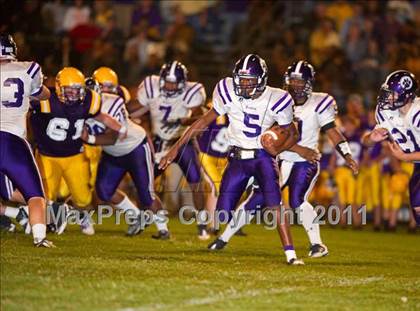 Thumbnail 3 in Rayne @ South Beauregard  photogallery.