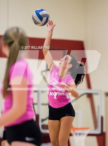 Thumbnail 2 in Cornwall Central @ Kingston photogallery.