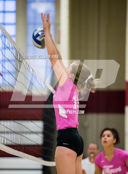 Thumbnail 2 in Cornwall Central @ Kingston photogallery.