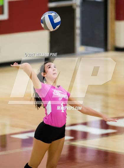 Thumbnail 2 in Cornwall Central @ Kingston photogallery.