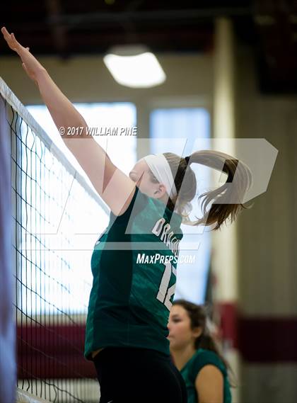 Thumbnail 2 in Cornwall Central @ Kingston photogallery.